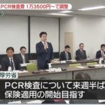 PCR検査 費用